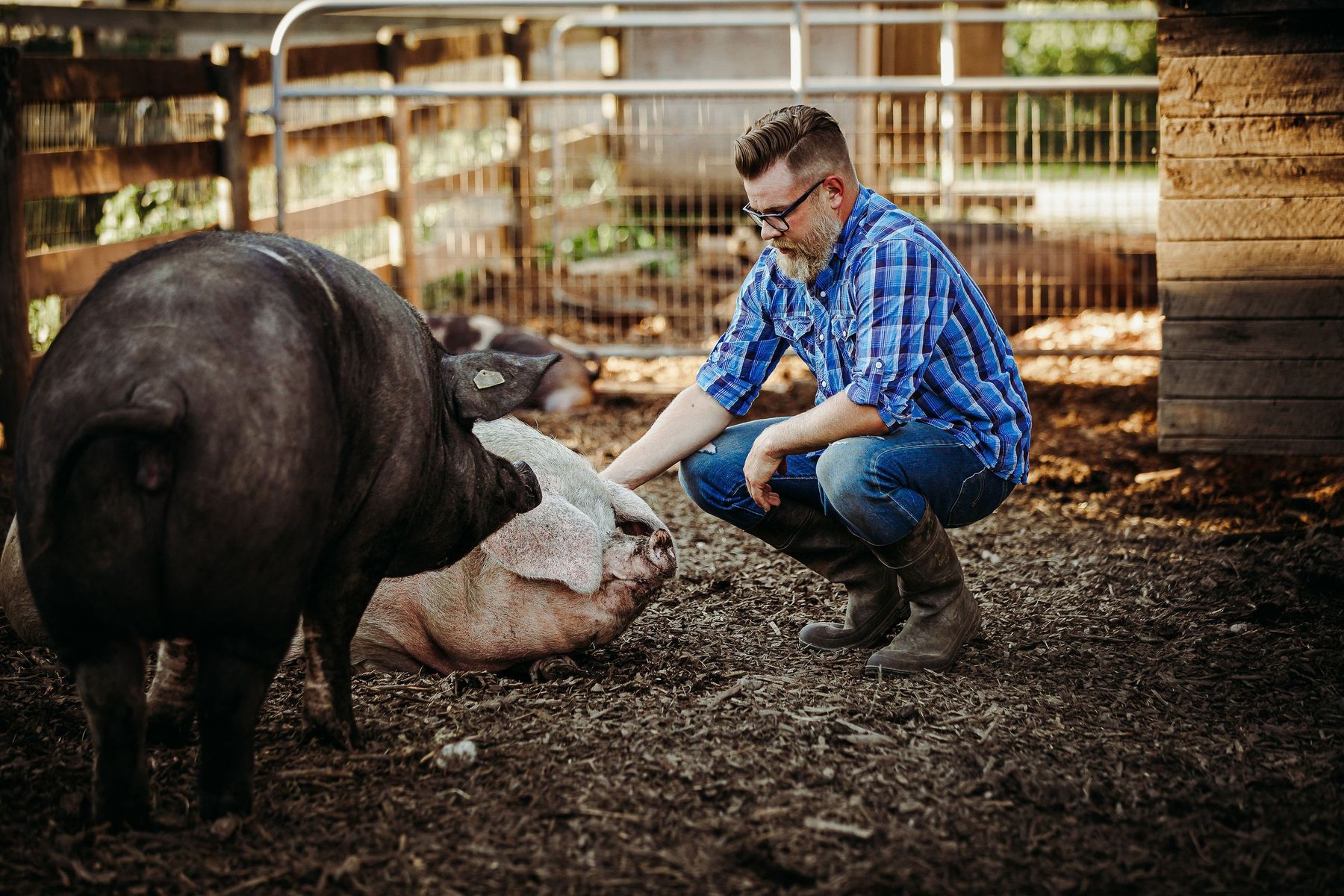 Coghlan Cottage Farm, Langley BC